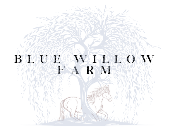 Blue Willow Farm